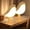 A, variant on 2PCS Small Bird Lamp, Dimmable and Cordless Bird Night Light, USB Rechargeable Touch Sensor Control Table and Desk Lamp with Aroma Diffuser Function for Bedroom