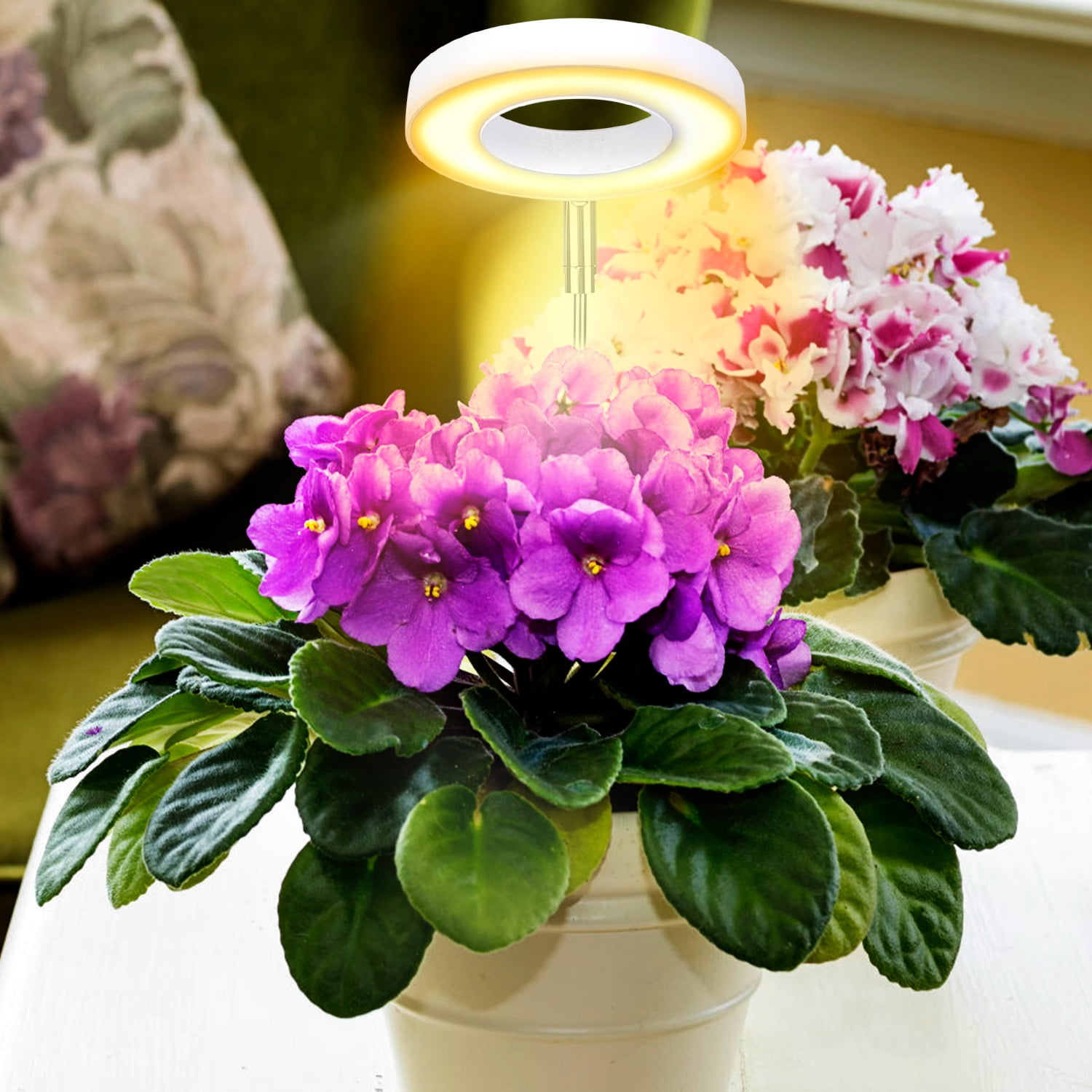 Plant Grow Light for Indoor Plants Full Spectrum Small LED Growing Lamp