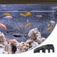 thumbnail image 5 of Methold Plataforma para tomar el sol para tortugas, paisajismo, cuevas escondidas, plataformas para escalar, decoración de reptiles, lagartos Suministros de alimentación y agua para mascotas, 5 of 6