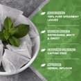 thumbnail image 4 of Spearmint Tea Bags - 30 Herbal Tea Bags - Rich in Essential Oil Refreshing Mint Tea - Non-GMO, Gluten Free, 4 of 7
