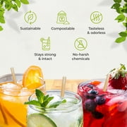 Bionex Biodegradable Bagasse Coffee Straws, 6-Inch Unwrapped Disposable Cocktail Straws, 1,500 Count