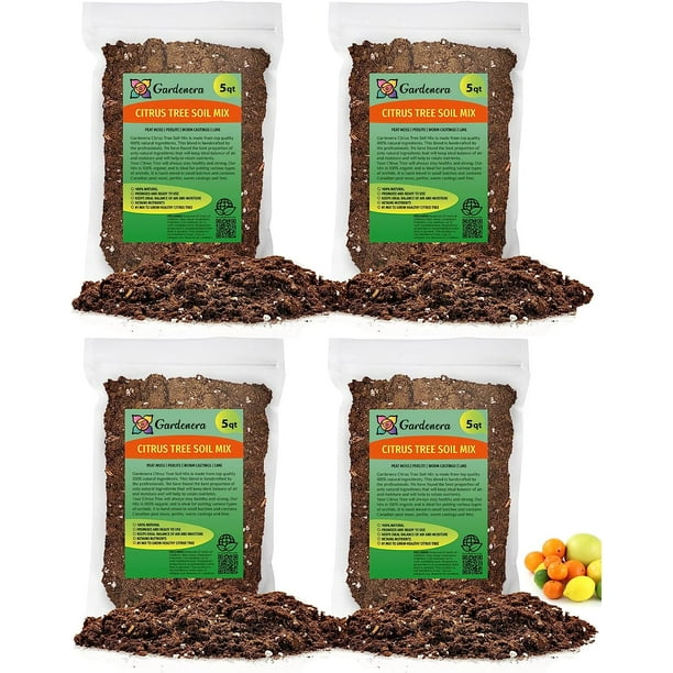 ⭐ BEST POTTING MIXES Citrus Tree Potting Soil Mix, Special Blend for