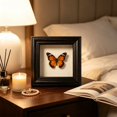 thumbnail image 4 of Feledorashia Shadow Box Frame, Specimen Display Frame, Deep Hollow Display for Dried Flowers Keepsakes Photos and Crafts, MDF Frame with Clear Glass Window Back Support and Layered Border, 4 of 6