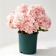 thumbnail image 2 of Artificial Outdoor Hydrangea Flowers 19 in Silk Floral Bouquet, UV Resistant Faux Plant Bush Spray Accent for Garden Patio Porch Home Table Centerpiece Decor, 2 of 5