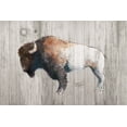 thumbnail image 3 of Gango Home Decor Southwestern Bison & Longhorn Lodge Wall Art; Two Gray 18x12in Unframed Paper Prints, 3 of 6