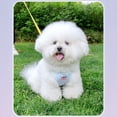 thumbnail image 2 of Cherry Embroidered Dog Harness, Lightweight Breathable Pet Vest Harness for Small Dogs, Adjustable Strap Harness for Walking and Outdoor Activities,Blue,M, 2 of 3