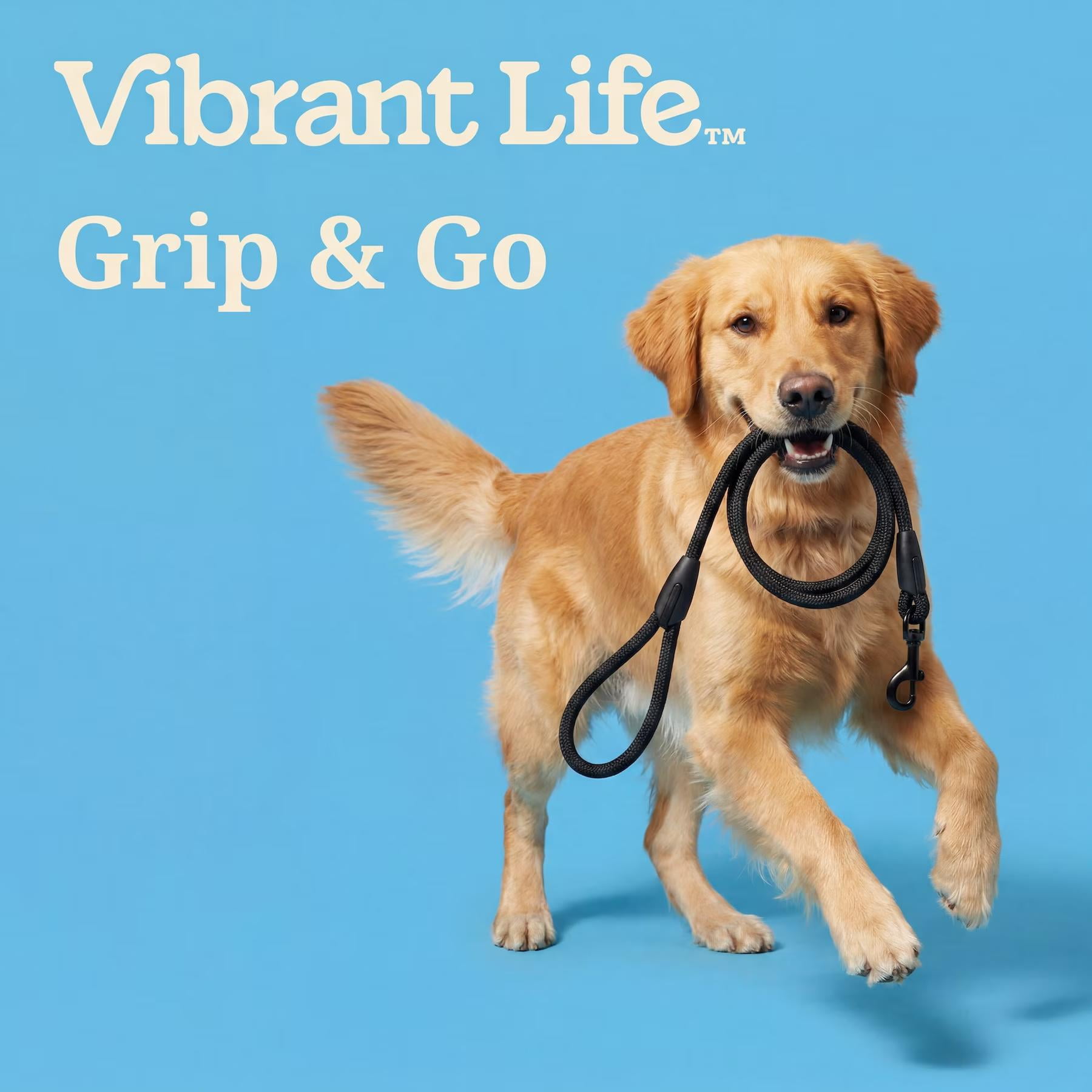 Vibrant Life 6' Padded Handle Rope Leash, Black, M/L