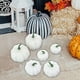 thumbnail image 2 of Modelo de calabazas artificiales, 6 uds., verduras artificiales, bonitas calabazas artificiales rústicas DIY para Halloween, chimenea, tienda, adorno Estilo C, 2 of 5