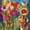 Patchwork Petals, variant on Springbok Quilled Flower Garden 500 Piece Jigsaw Puzzle for Adults - Poster Now Included