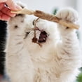 thumbnail image 3 of SPRING PARK Catnip Toys, Cat Toys for Indoor Cats, Kitten Teething Chew Toy for Aggressive chewers, Catnip Chew Sticks Calm Cat Anxiety and Stress,3 Packs, 3 of 7
