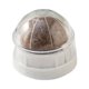 thumbnail image 4 of Bolas de hierba gatera para gatos, bola de rodillo de hierba gatera, juguete para lamer con tapa para la dentición, bola de hierba gatera comestible, juguetes interactivos para gatos y, 4 of 8