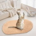 thumbnail image 2 of Soft Oval Carpet Floor Mat 16x24 Inch Absorbent Non Slip Washable Shaggy Area Rug for Bedroom Living Room Bathroom Entrance Home Decor, Camel-Colored 40*60 Rug *1, 2 of 5