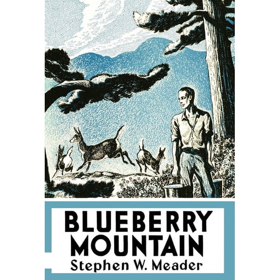 Blueberry Mountain (Hardcover)