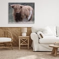 thumbnail image 3 of Stupell Industries Farmhouse Wandering Harry Highland Cattle Canvas Art, 30 x 24, by Marcus Prime, 3 of 8