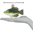 thumbnail image 4 of Old World Christmas Crappie Glass Blown Ornament for Christmas Tree, 4 of 5