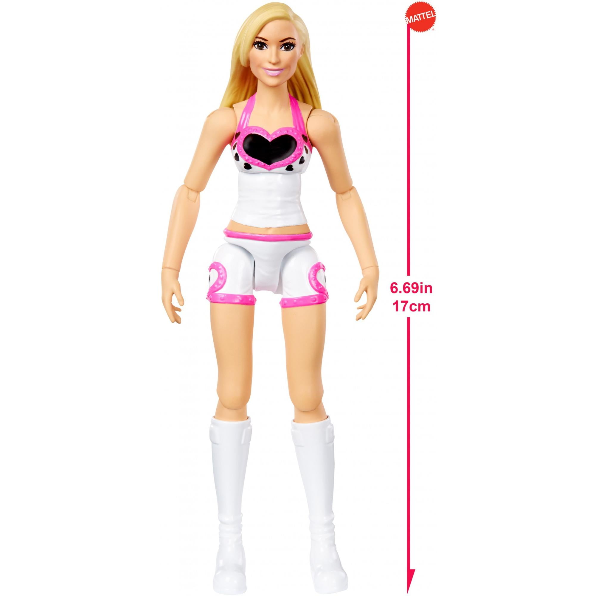 WWE Wrestler Figure Piñata - Valentina's Party World - Dulceria  Importaciones Valentinas