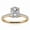 Yellow, variant on Four Prong Setting Design Statement Ring for Wife