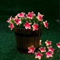 thumbnail image 4 of LusLog-pro Pink Flower String Lights, Romantic Aesthetic Fairy Lights for Bedroom Decor, 30 LED 10ft Battery Operated, Ideal for Summer Luau Party, Wedding, Kids Room Accent Lighting, 4 of 6