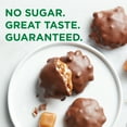 thumbnail image 5 of RUSSELL STOVER Sugar Free Pecan Delight Chocolate Candy, 10 oz. bag (≈ 16 pieces), 5 of 10
