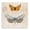 Vintage Butterfly Specimen Diagram Study, variant on Stupell Industries Cottage Speckled Butterfly Sketch Canvas Art, 17 x 17, by Susan Arnot