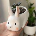 thumbnail image 5 of Lishi Mini Rabbit Desk Ceramic Planter with Saucer - Minimalist Office Window Décor, 5 of 5