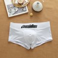 thumbnail image 1 of Men Triangle Underwear Low Rise Fashion Increase Capsular Elasticity Body Bag Hugging Comfortable Briefs Slip Dropshipping boxer white XL, 1 of 6