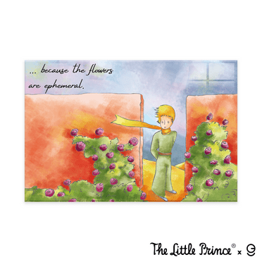 The Little Prince Acrylic Frame-Printing Artwork - Multiple Size Options (EGDLP036)