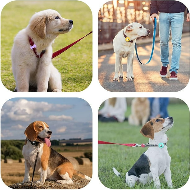 Dog collar stand sale
