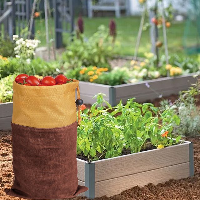 Sac de Cueillette de Champignons Sac de Cueillette de Pommes Sac de Cueillette de Fruits Sac de Cueillette de Jardin pour Verger Extérieur, Ferme, Jardin