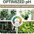 thumbnail image 3 of AROID Potting Mix/Premium Soil for Monstera, Philodendron, Alocasia, Anthurium – Chunky, Optimally Aerated Soil – Organic & Ready to Use – Supercharges Root and Foliage Growth (4 QTS), 3 of 3
