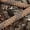 Dark Earth, variant on Rocky Men's Hi-Wire 8" Lace-Up Camo Waterproof Work Boots Realtree Excape 8D      (Medium)