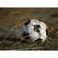 thumbnail image 1 of Soccer Ball in Net, Unframed Photographic Print Wall Art Sold by Art.Com, 1 of 4