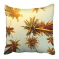 thumbnail image 1 of Funda de almohada ABPHQTO Hoja Azul Palmeras al Atardecer 50x50 cm, 1 of 1