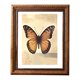 thumbnail image 4 of Vintage Picture Frame, Decorative Wall Hanging and Tabletop Display Photo Frame White 5in, 4 of 5