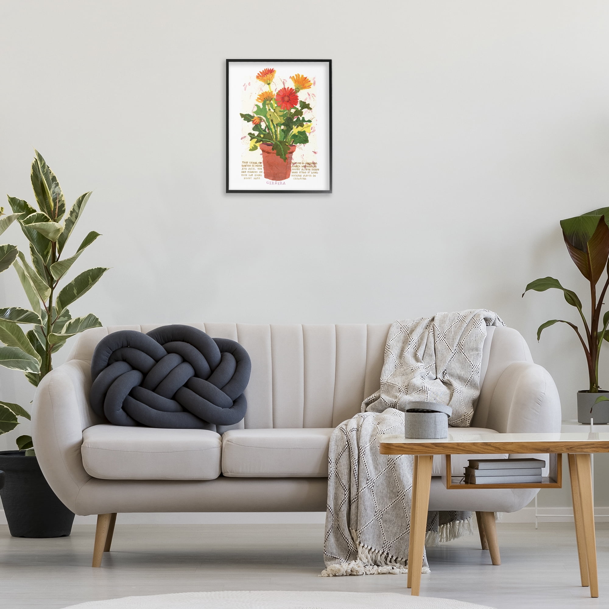 Stupell Industries Potted Gerbera Daisies Botanical & Floral Painting Black Framed Art Print Wall Art, 16 x 20