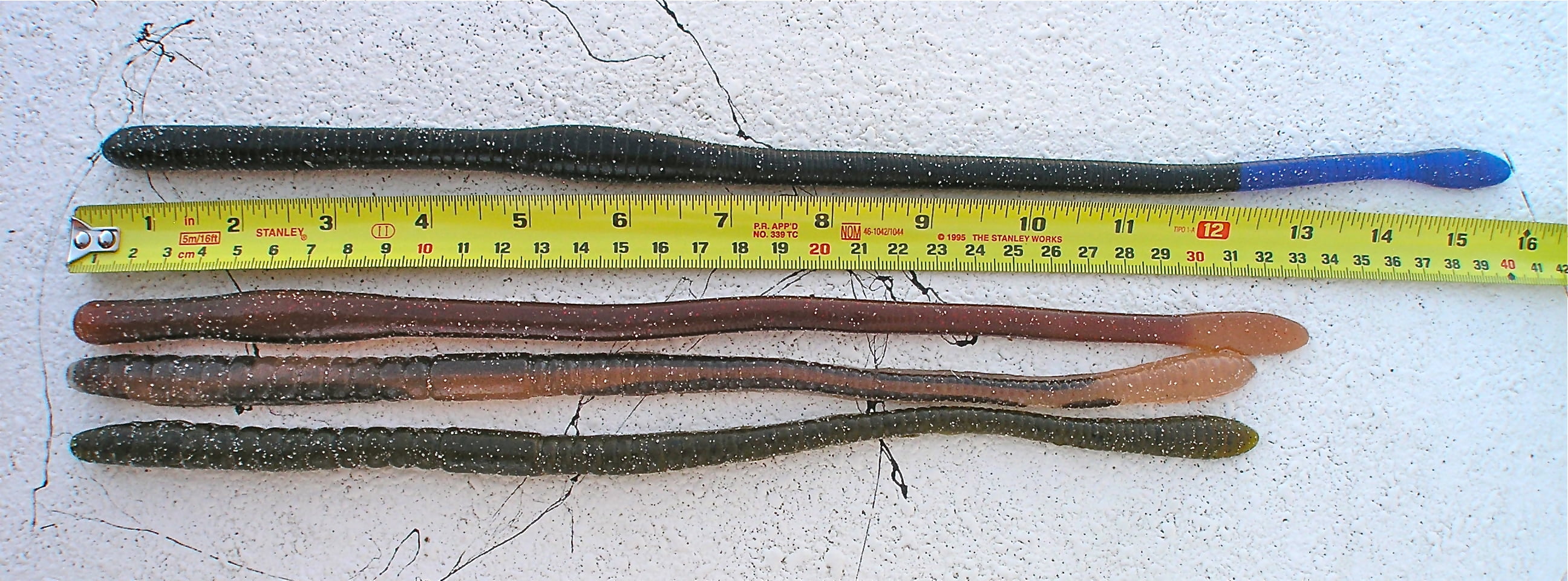 mann's jelly worm
