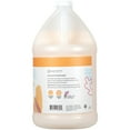 thumbnail image 6 of Ginger Lily Farms Botanicals All-Purpose Liquid Hand Soap Refill, Coco Mango, 100% Vegan & Cruelty-Free, Coconut Mango Scent, 1 Gallon (128 fl oz), 6 of 6