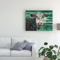 thumbnail image 3 of Trademark Fine Art 'Marshland Cow II' Canvas Art by Carolee Vitaletti, 3 of 4