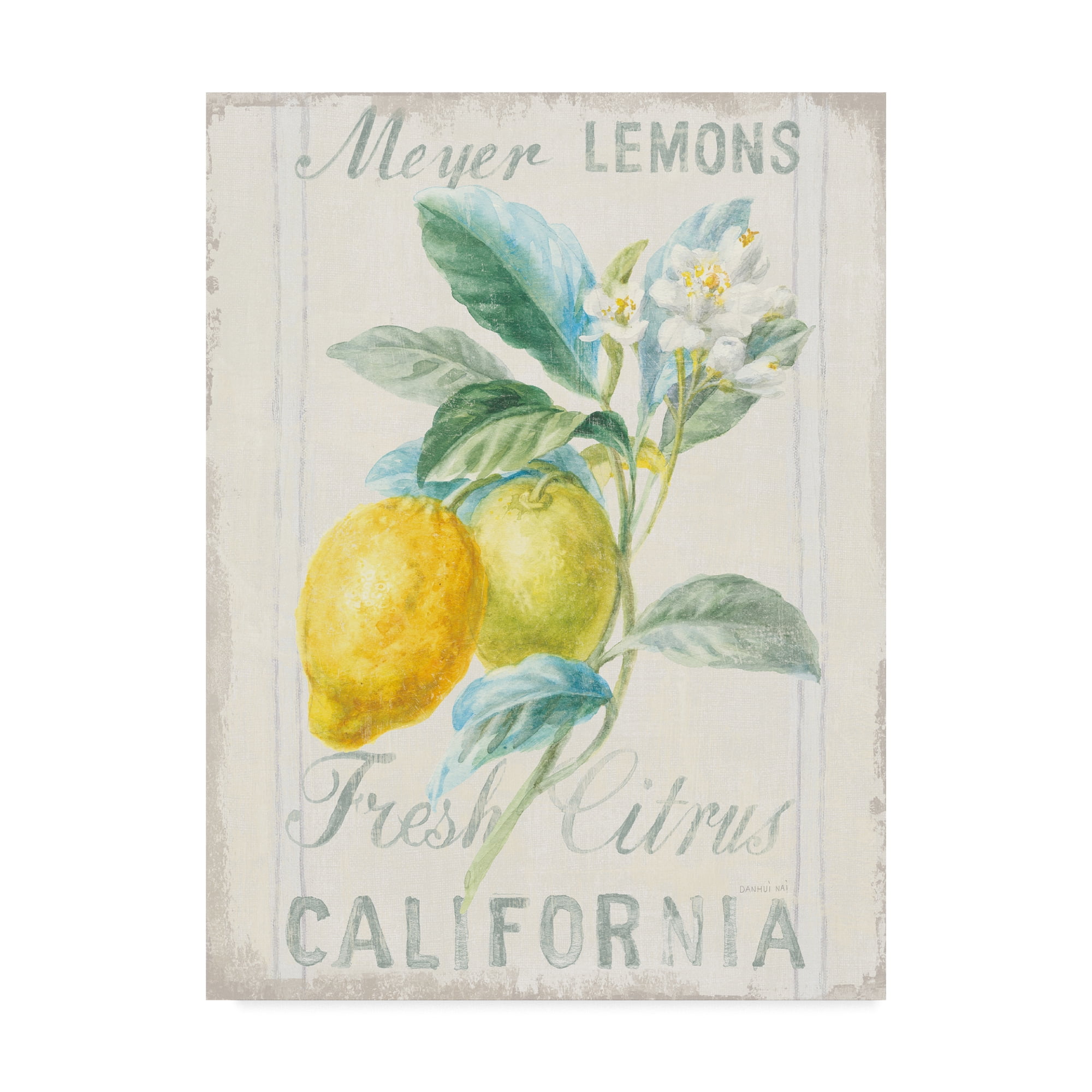 Trademark Fine Art 'Floursack Lemon II' Canvas Art by Danhui Nai