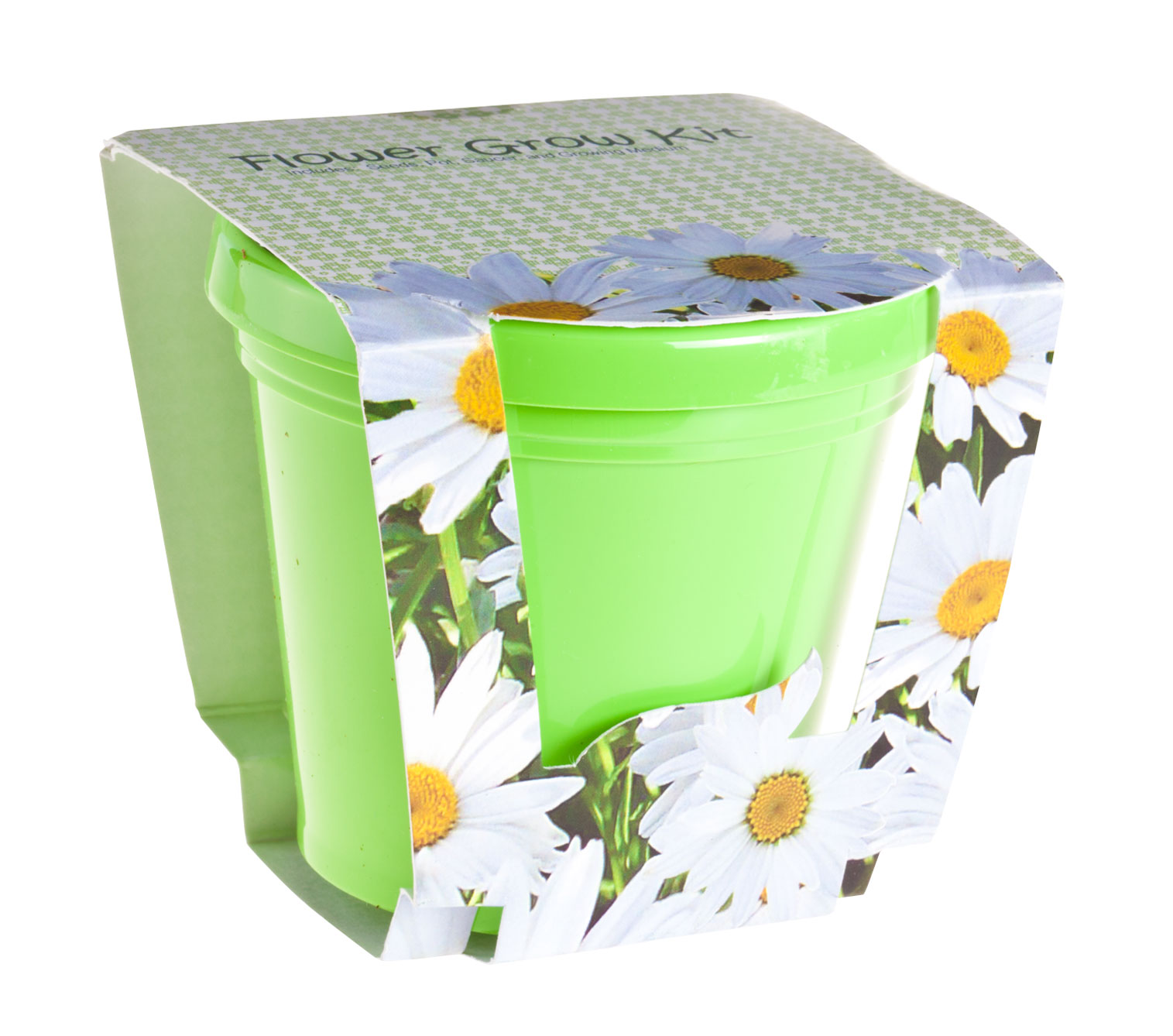 Daisy Seed Starter Kit