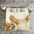 thumbnail image 3 of Ambesonne Animal Quilted Bedspread Set 3 Pcs, Cat Playing with Feather, King Size, Apricot Cream White, 3 of 3