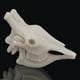thumbnail image 4 of Adorno de decoración de resina Colco Modelo de Cráneo de Animal para acuarios, 4 of 8