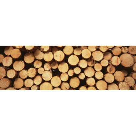 Marked Wood In A Timber Industry Black Forest Germany Canvas Art - Panoramic Images (18 x