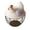 F, variant on Leeye Metal Egg Storage Basket, Countertop Egg Holder for Kitchen Refrigerator, Drop Design Organizer for Fresh Eggs, Pink, One Size, 0.84 lb