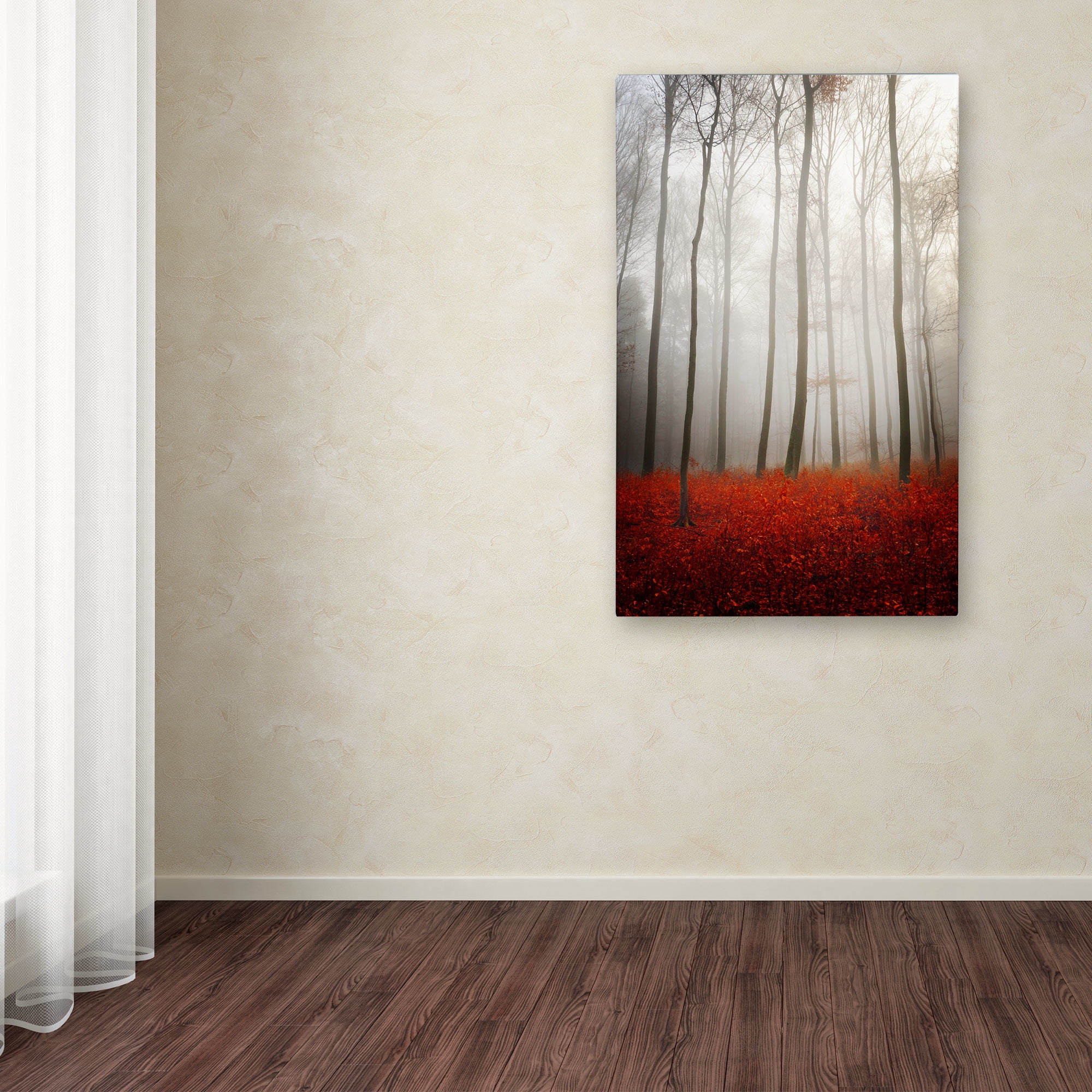 Trademark Fine Art "Leafless" Canvas Art by Philippe Sainte-Laudy
