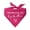 Hot Pink, variant on Promoted To Big Brother Triangle Dog Bandana