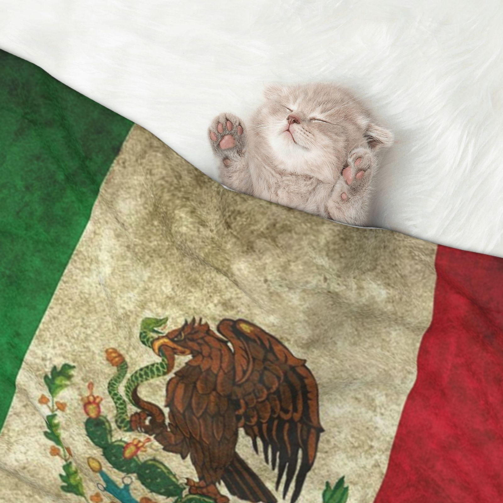 Retro-Mexico-Sacred Flag Dog Blanket Soft Warm Flannel Cat Blanket Great Pet Throw for Cats Puppy Small Medium Large Dog