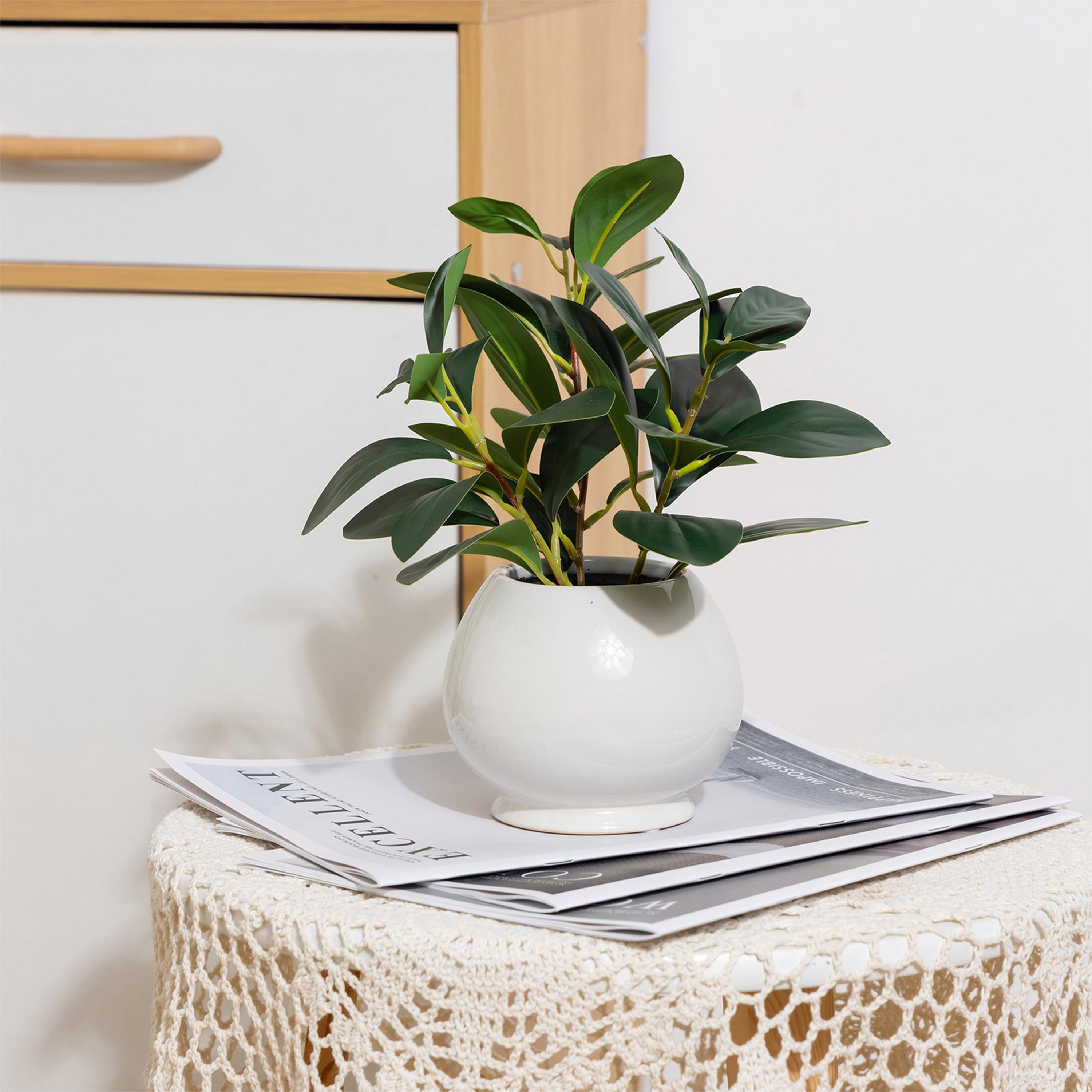 (4 pack) Mainstays Indoor Artificial Peperomia Plant in White Ceramic Pot, 11 in
