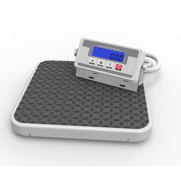 ANGEL USA - Báscula digital médica de alta precisión, peso corporal médico, equilibrio de pesaje, sa