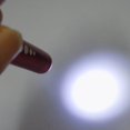 thumbnail image 4 of BJYX LED Shockproof Medical Aluminum Alloy Flashlight LED Waterproof Outdoor Torch, 4 of 6
